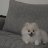 Jacson_Hanter